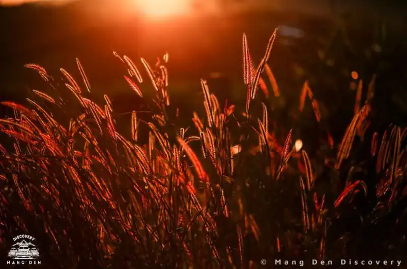 Khoảnh khắc ánh sáng cuối ngày tại Măng Đen