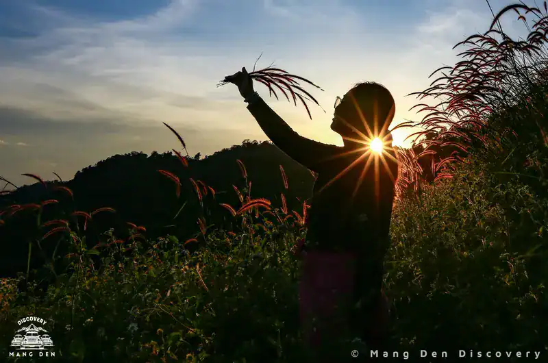 Góc nhìn cao xuống không gian làng bản và rừng thông từ khu 37 hộ