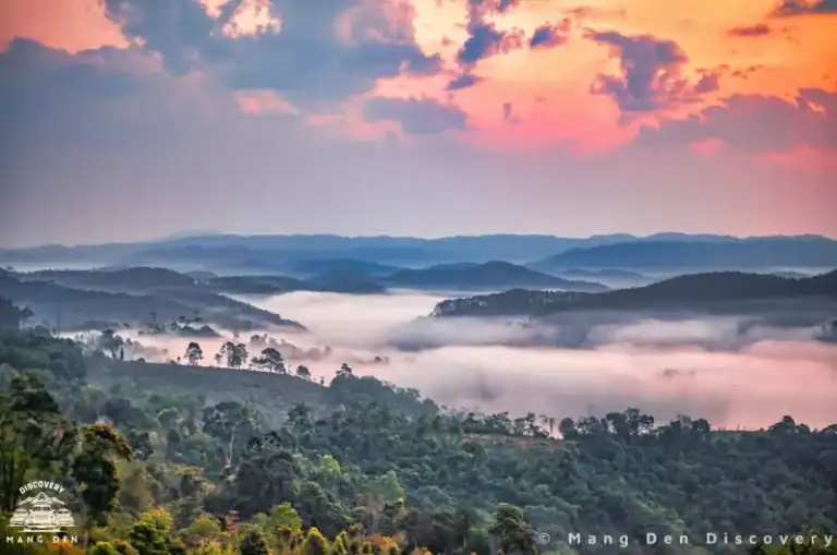 Con đường săn mây Măng Đen khu 37 hộ vào lúc bình minh