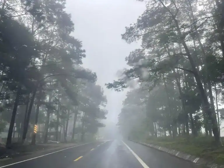 Đường thông tại Măng Đen