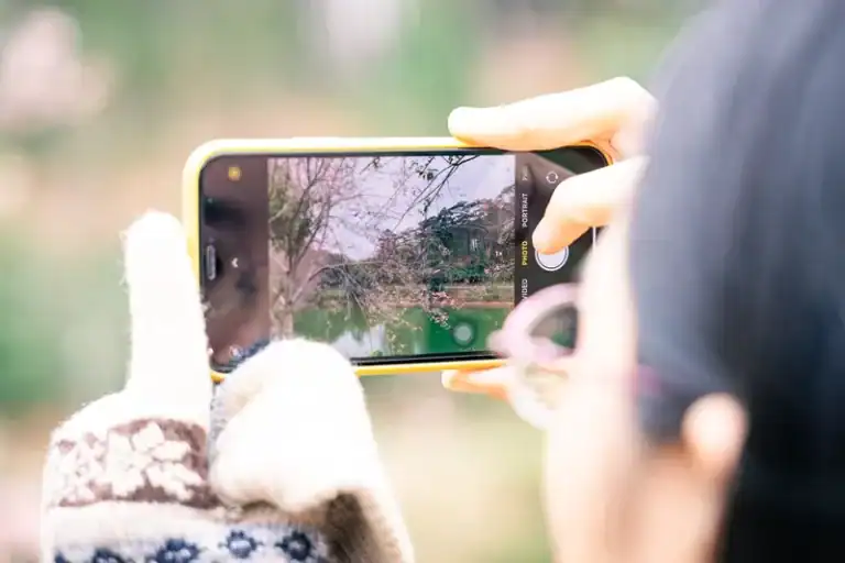 Hoa mai anh đào nở rộ tại Măng Đen – mùa hoa đặc trưng tháng 1 cao nguyên Kon Plông