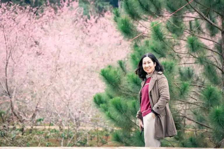 Phụ nữ mặc áo khoác nâu đỏ đứng nở nụ cười giữa rừng hoa mai anh đào Măng Đen và cây thông xanh làm nền
