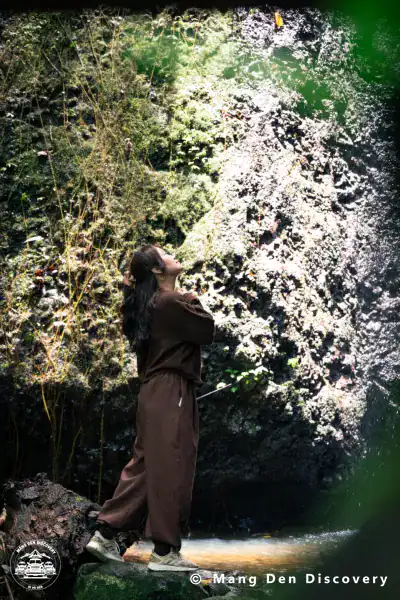 TOUR MĂNG ĐEN 3 NGÀY 2 ĐÊM – HÀNH TRÌNH KHÁM PHÁ TRỌN VẸN CAO NGUYÊN 15 Rừng nguyên sinh Kon Tu Ma là phần khiến hành trình 3N2Đ có chiều sâu hơn các tour tham quan nhanh.