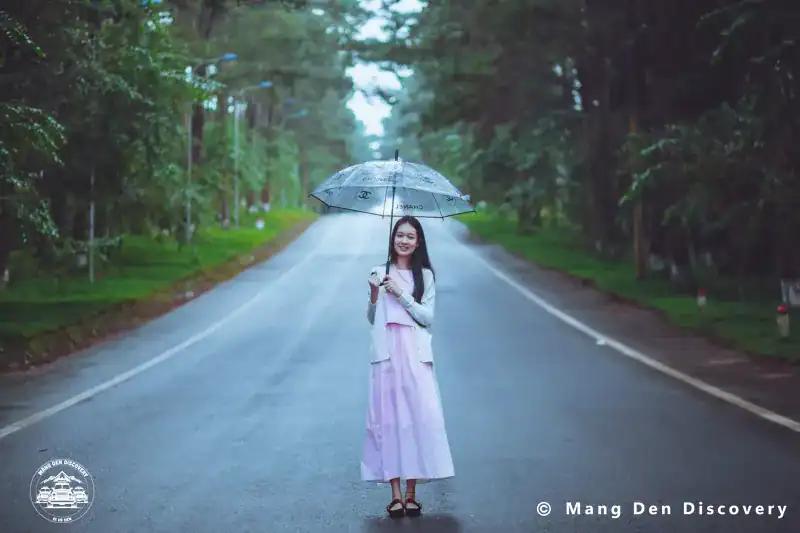 TOUR MĂNG ĐEN 3 NGÀY 2 ĐÊM – HÀNH TRÌNH KHÁM PHÁ TRỌN VẸN CAO NGUYÊN 19 Đường thông Măng Đen luôn là phông nền dễ chịu cho những khung hình nhẹ nhàng.