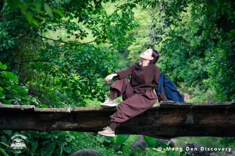 TOUR MĂNG ĐEN 3 NGÀY 2 ĐÊM – HÀNH TRÌNH KHÁM PHÁ TRỌN VẸN CAO NGUYÊN 7 Những cây cầu gỗ và lối đi giữa rừng đẹp hơn hẳn khi gặp đúng mùa thời tiết ổn định.