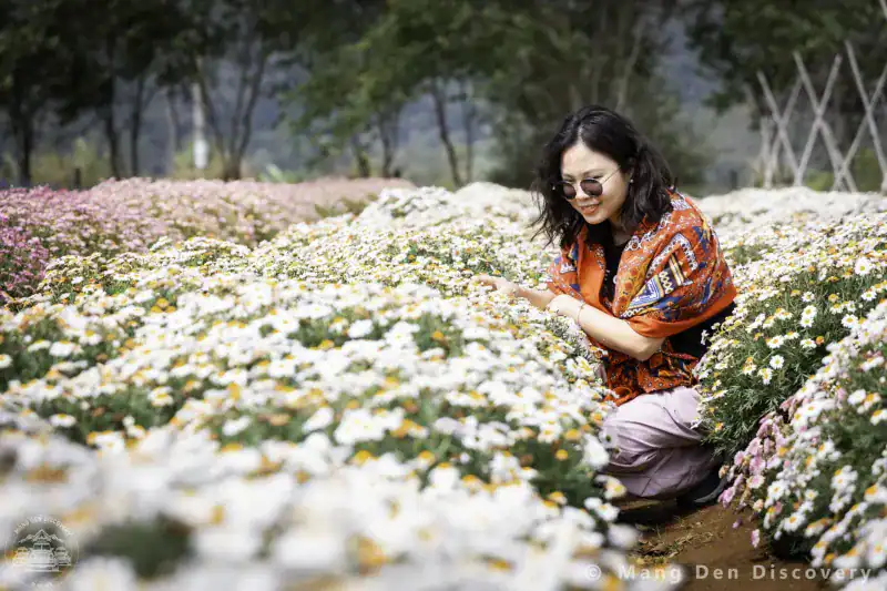TOUR MĂNG ĐEN 3 NGÀY 2 ĐÊM – HÀNH TRÌNH KHÁM PHÁ TRỌN VẸN CAO NGUYÊN 17 Các điểm vườn hoa là lựa chọn nhẹ nhàng cho nhóm thích chụp ảnh và thư giãn.