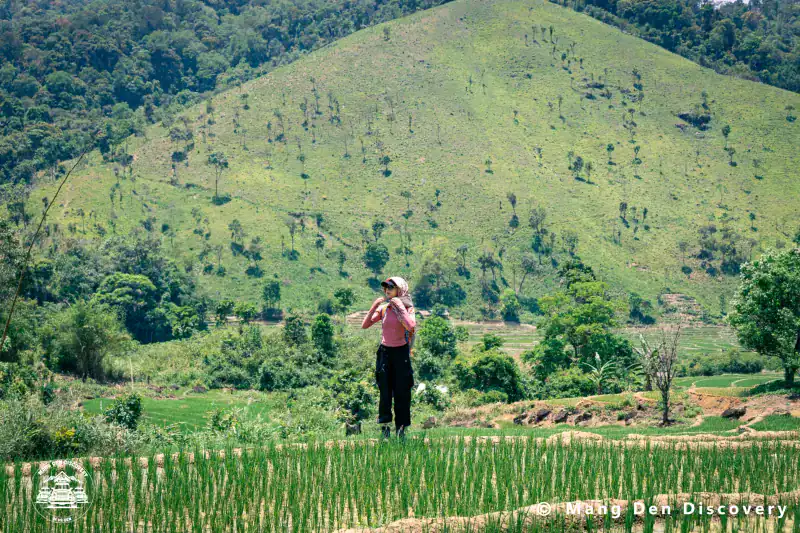 TOUR MĂNG ĐEN 3 NGÀY 2 ĐÊM – HÀNH TRÌNH KHÁM PHÁ TRỌN VẸN CAO NGUYÊN 26 Khung cảnh ruộng bậc thang giúp cung đường có thêm chiều sâu thị giác.