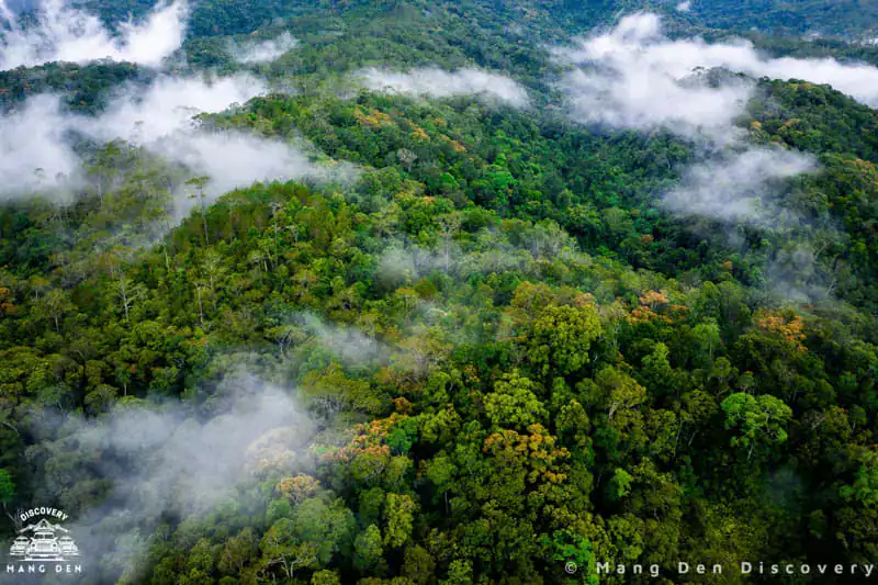 Khung cảnh núi rừng thiên nhiên hùng vĩ trên cung K50