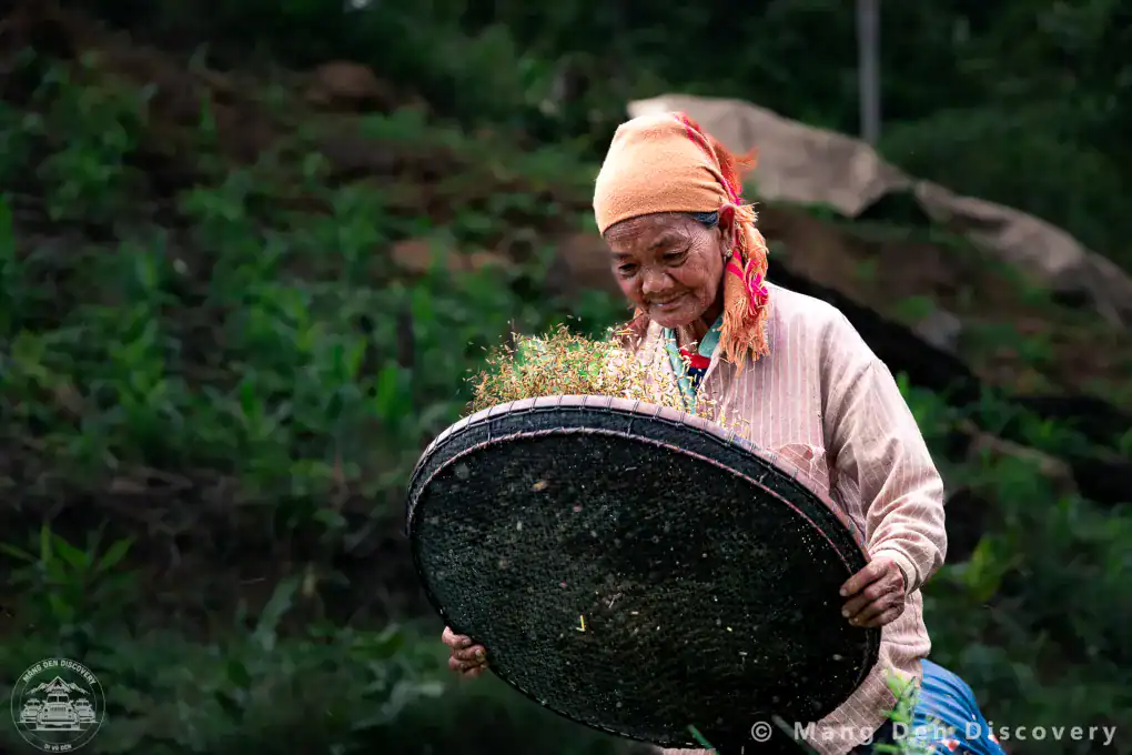 cô gái người đồng bào mơ nâm đang sàn gạo tại làng Vi Rơ Ngheo trong tour khám phá làng Vi Rơ Ngheo Măng Đen