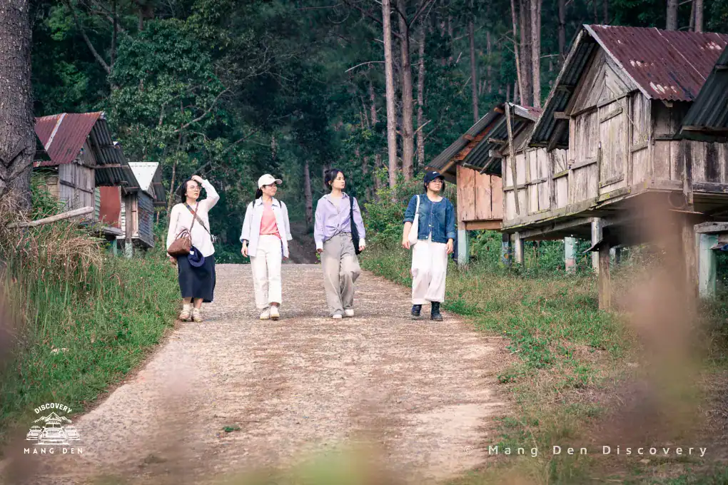 Trang Chủ 4 4 cô gái dạo bước bên con đường thông xung quanh là nhà thóc tại kho thóc làng Kon Tu Ma trong tour trekking 3n2d Kon Tu Ma với núi rừng xung quanh