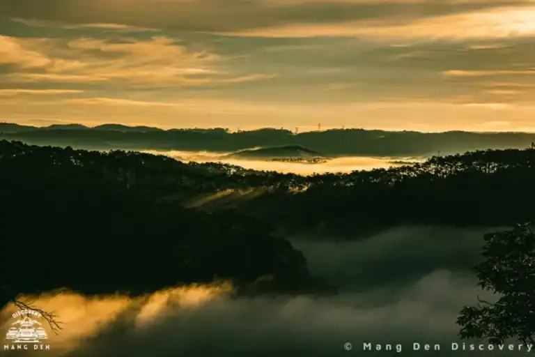 Măng Đen buổi sáng với rừng cây xanh và ánh sáng tự nhiên nhẹ nhàng