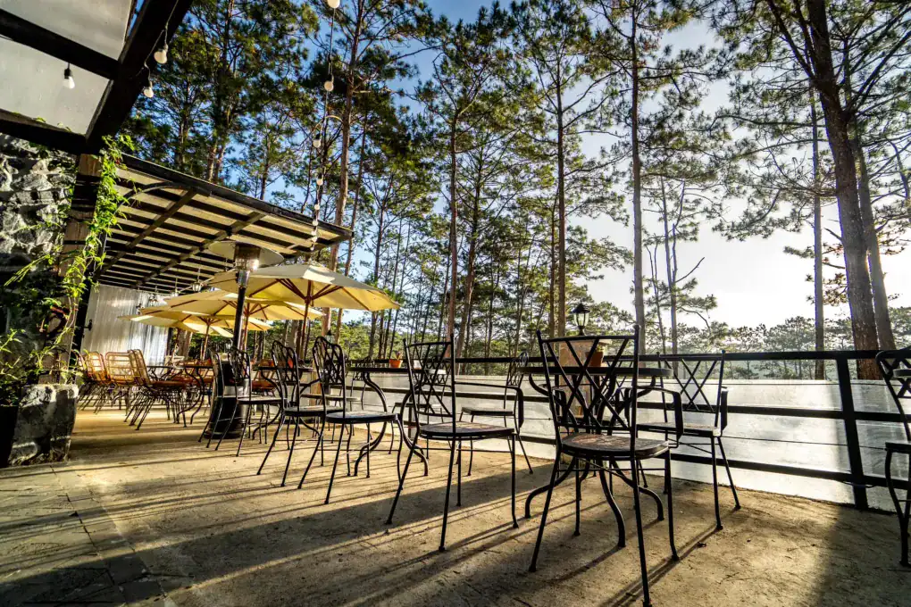 Không gian De Vivre nhìn ra rừng thông