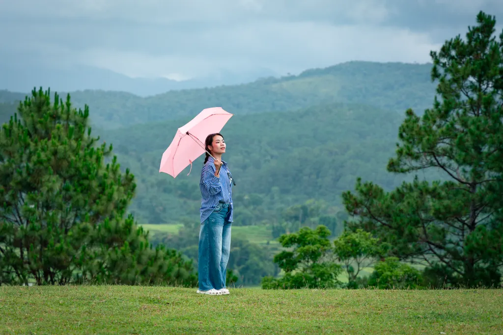 cô gái che ô tại đồi cỏ măng đen sau lưng là đồi núi trập trùng, cây thông vào sáng sớm còn sương