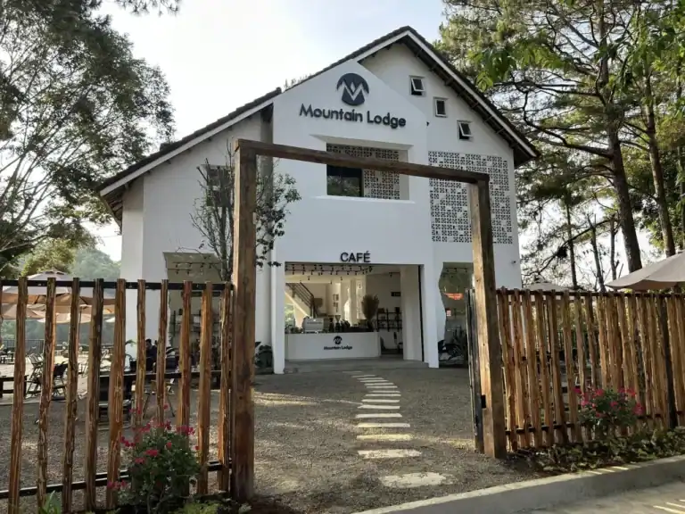 quán cafe Mountain Lodge Măng Đen giữa rừng thông buổi chiều