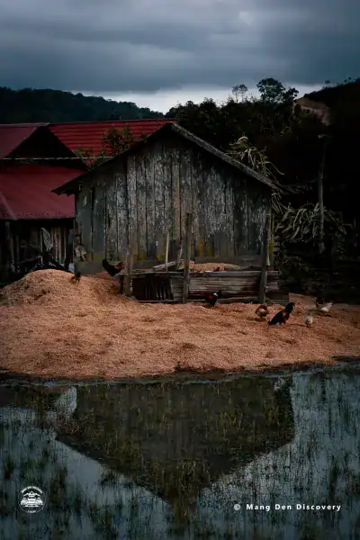 Nhà gỗ mộc mạc trên nền đất đỏ tại làng Vi Rơ Ngheo