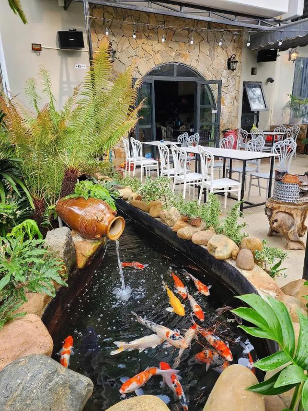 CASA VANILLA MĂNG ĐEN – CHỖ Ở ĐẸP TRÊN ĐƯỜNG NGUYỄN DU CHO NGƯỜI THÍCH Ở CHẬM, Ở YÊN 15 hồ cá koi và khu ngồi ngoài trời tại Casa Vanilla Măng Đen