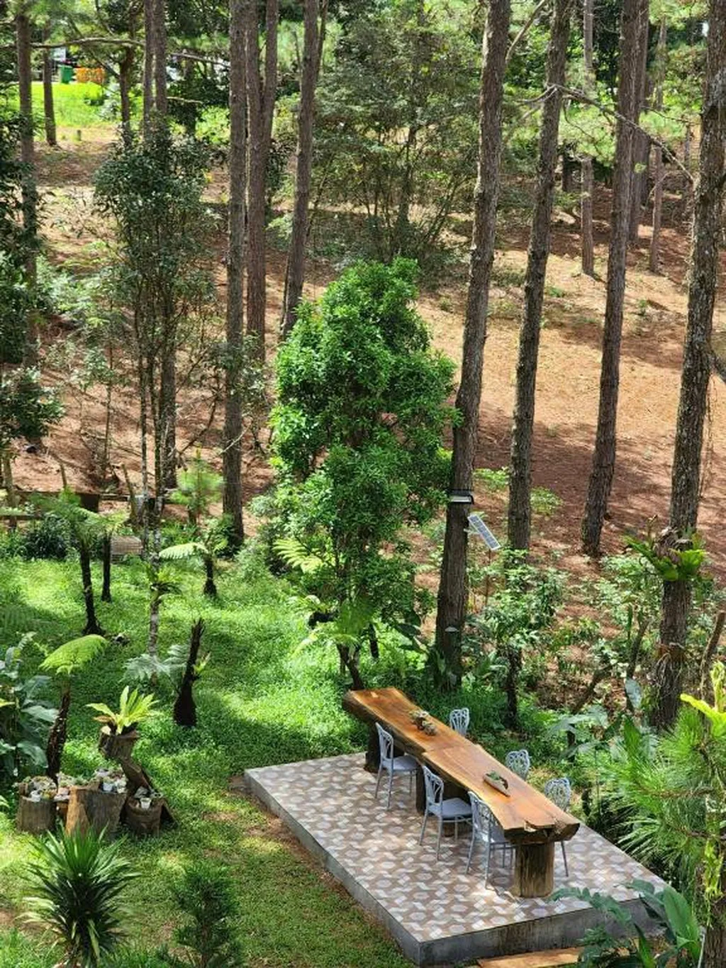 CASA VANILLA MĂNG ĐEN – CHỖ Ở ĐẸP TRÊN ĐƯỜNG NGUYỄN DU CHO NGƯỜI THÍCH Ở CHẬM, Ở YÊN 18 bàn dài ngoài vườn tại Casa Vanilla Măng Đen