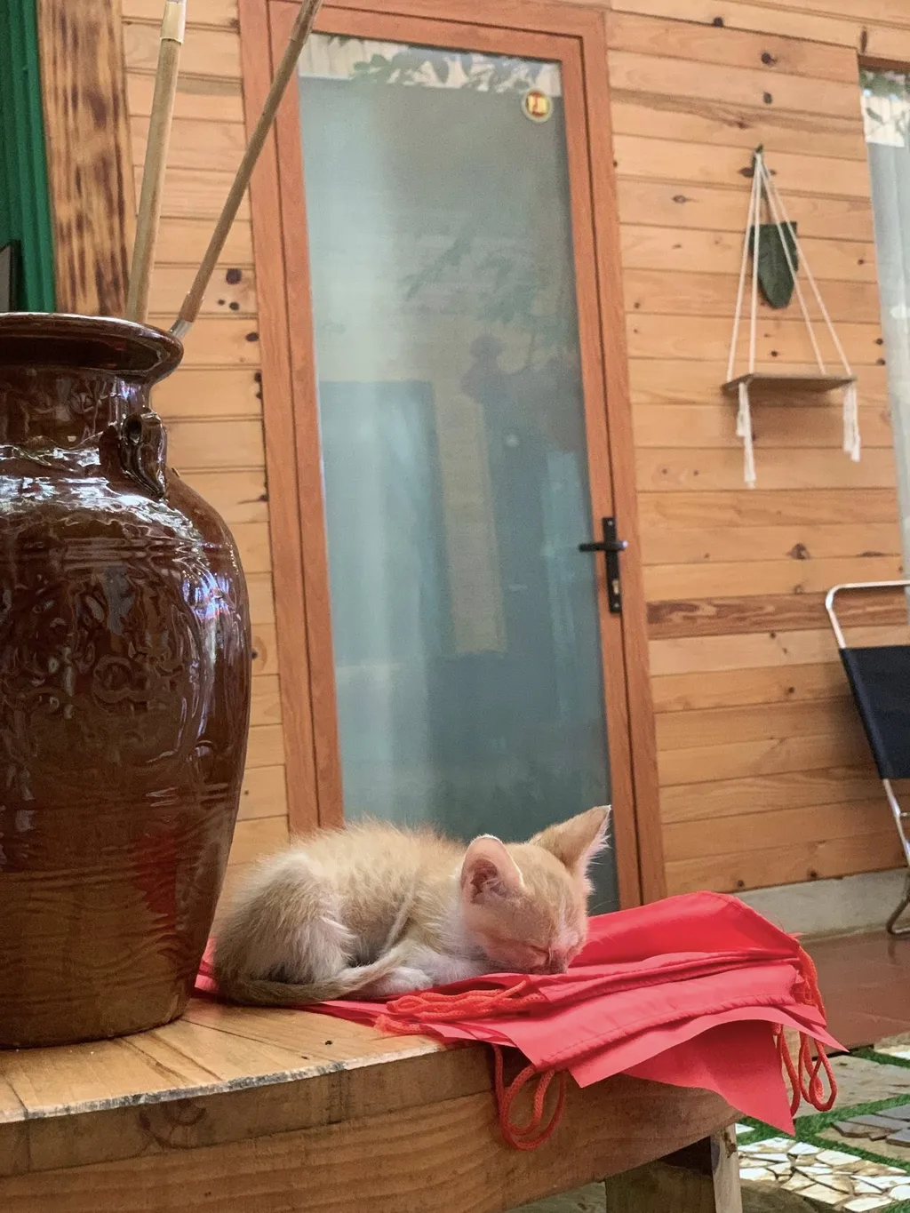 REVIEW T'RƯNG HOMESTAY MĂNG ĐEN: NHÀ GỖ SĂN MÂY NGAY TRÊN CUNG ĐƯỜNG VÕ NGUYÊN GIÁP 15 chỗ ở Măng Đen cho phép mang thú cưng tại T'Rưng Homestay