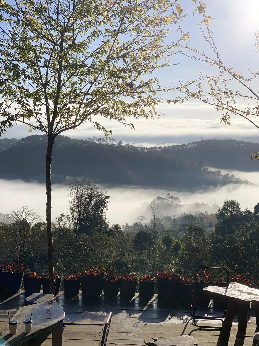 REVIEW T'RƯNG HOMESTAY MĂNG ĐEN: NHÀ GỖ SĂN MÂY NGAY TRÊN CUNG ĐƯỜNG VÕ NGUYÊN GIÁP 7 view săn mây sáng sớm tại T'Rưng Homestay Măng Đen