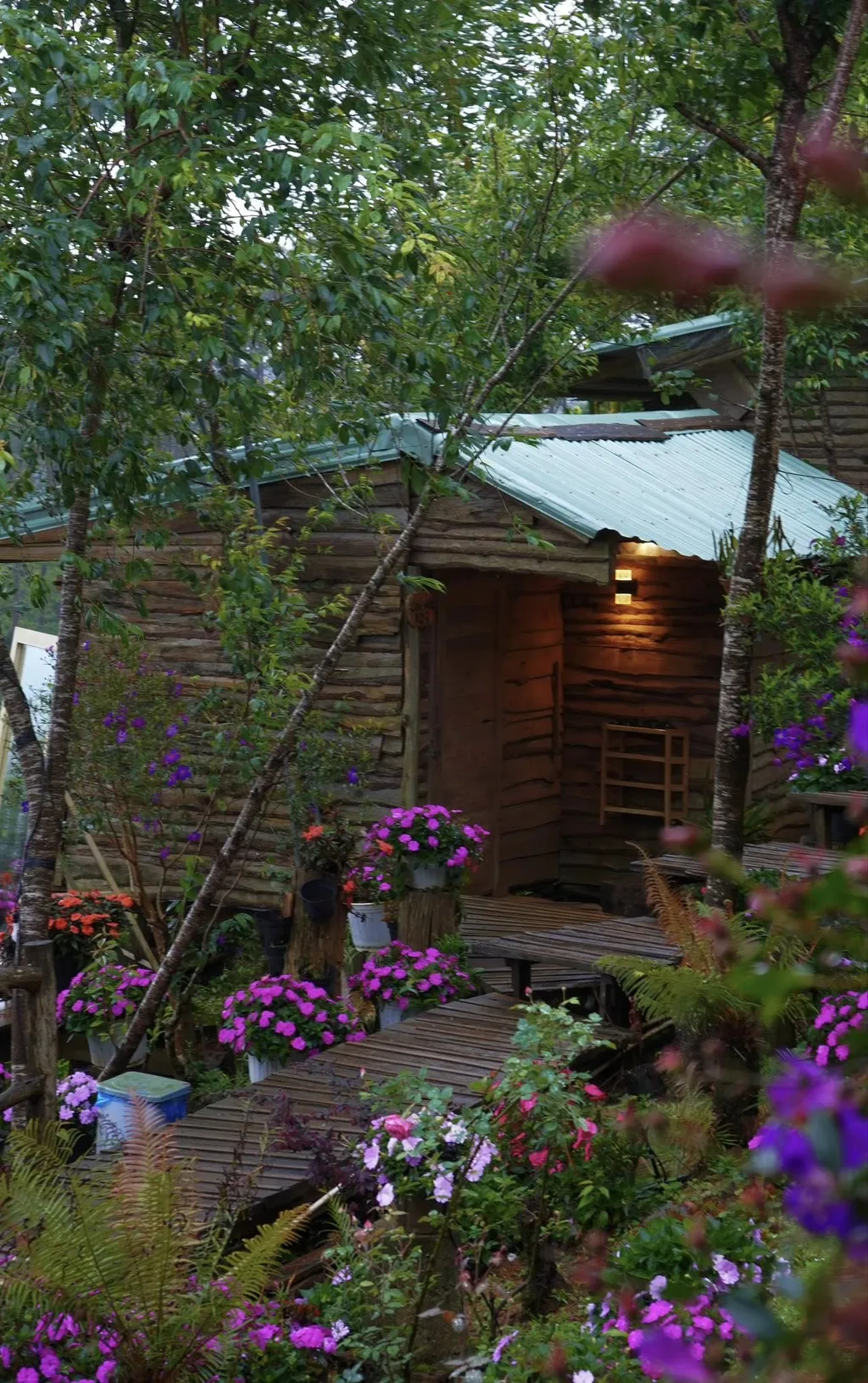 REVIEW T'RƯNG HOMESTAY MĂNG ĐEN: NHÀ GỖ SĂN MÂY NGAY TRÊN CUNG ĐƯỜNG VÕ NGUYÊN GIÁP 13 review homestay Măng Đen giá vừa tầm với khu vườn T'Rưng