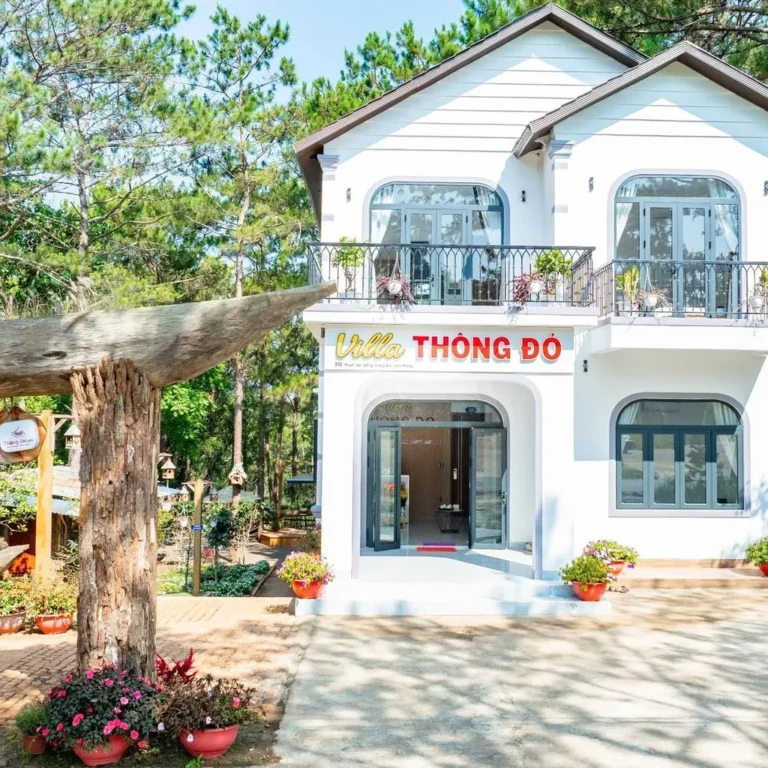 villa thông đỏ măng đen có bãi đỗ xe rộng rãi trên mặt tiền đường phạm văn đồng và có quán cafe rang xay giữa rừng thông